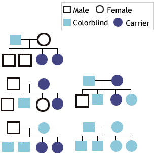 Inherited Color Vision Deficiency